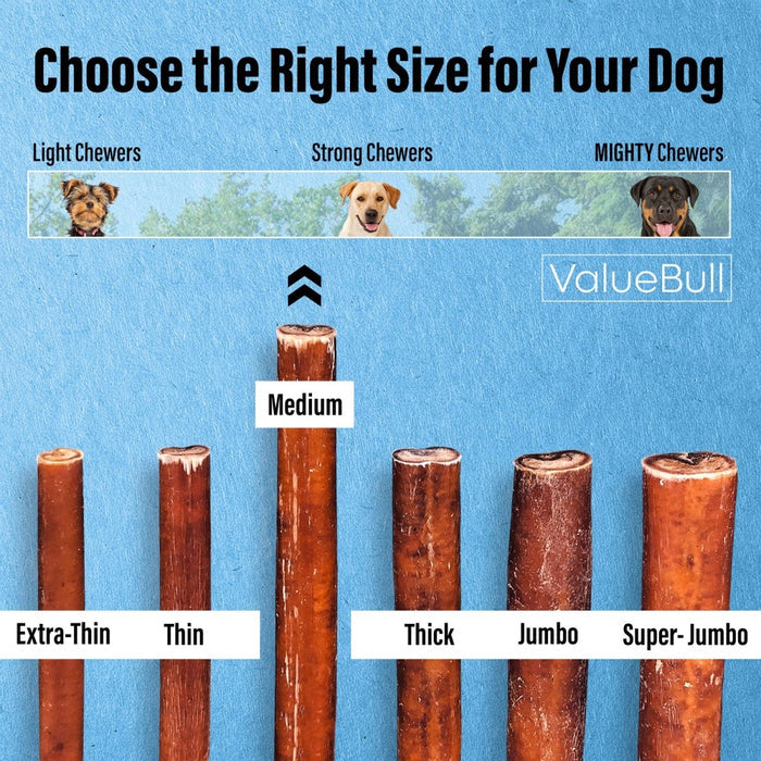 ValueBull Bully Sticks for Dogs, Medium 12 Inch, 50 Count - Medium - 50 Sticks