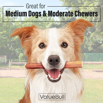 ValueBull Bully Sticks for Dogs, Medium 6 Inch, 25 Count - Medium - 25 Sticks