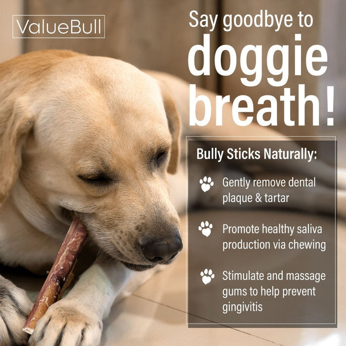 ValueBull Bully Sticks for Dogs, Medium 6 Inch, 50 Count - Medium - 50 Sticks