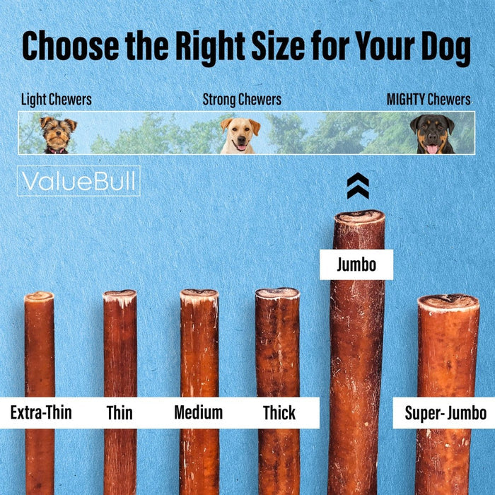 ValueBull Bully Sticks for Large Dogs, Jumbo 6 Inch, 10 Count - Jumbo - 10 Sticks