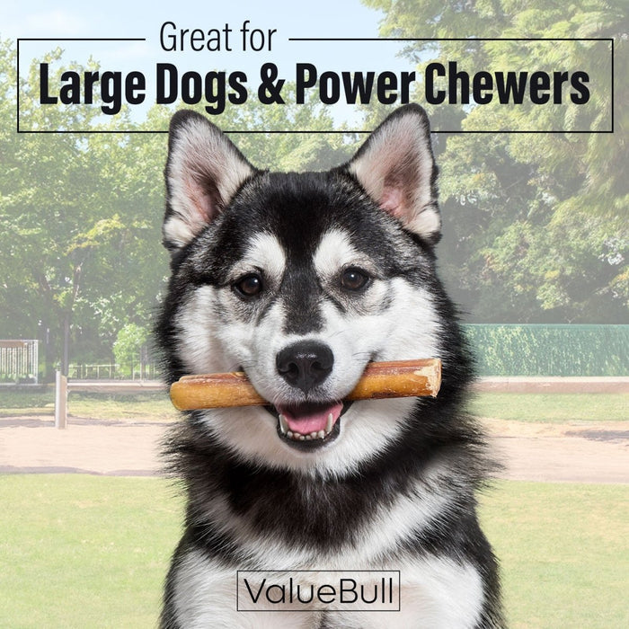 ValueBull Bully Sticks for Large Dogs, Jumbo 6 Inch, 50 Count - Jumbo - 50 Sticks