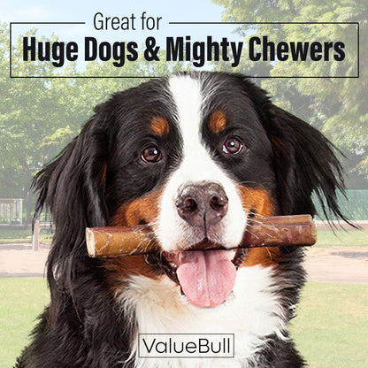ValueBull Bully Sticks for Large Dogs, Super Jumbo 6 Inch, 25 Count - Super Jumbo - 25 Sticks