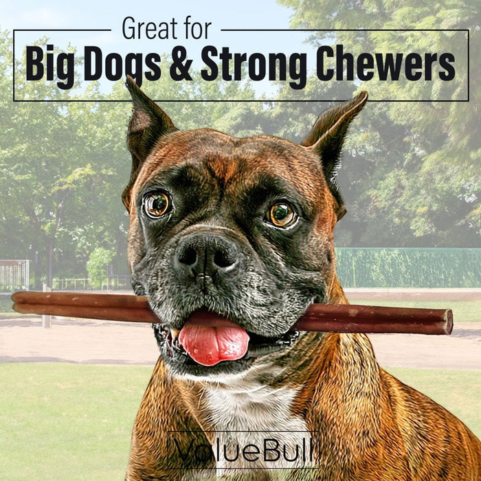ValueBull Bully Sticks for Large Dogs, Thick 12 Inch, 25 Count - Thick - 25 Sticks