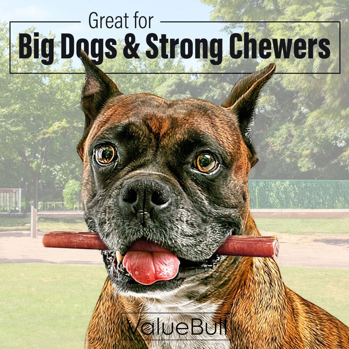ValueBull Bully Sticks for Large Dogs, Thick 6 Inch, 25 Count - Thick - 25 Sticks