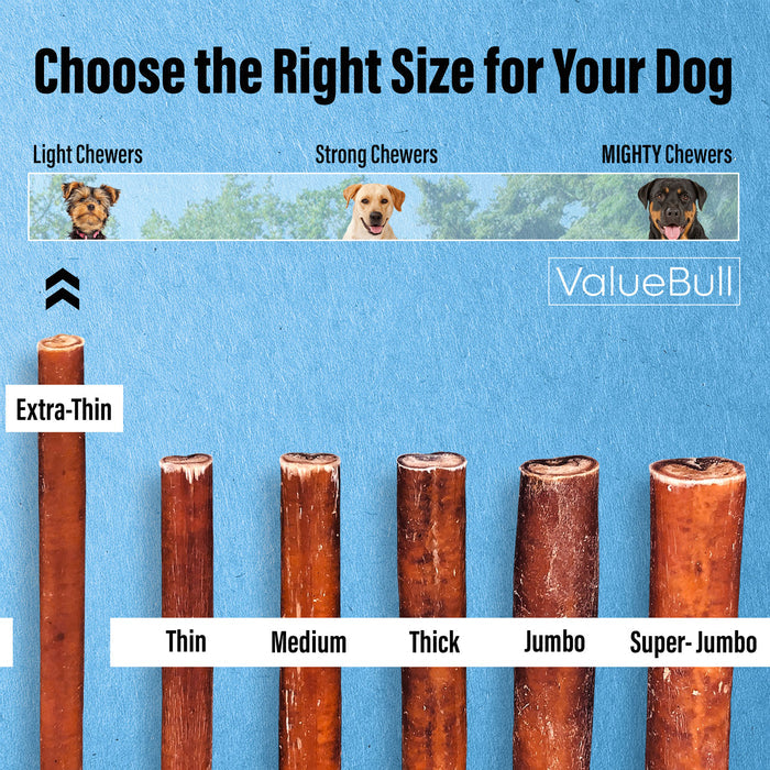 ValueBull Bully Sticks for Small Dogs, Extra Thin 6 Inch, 100 Count Bulk Pack - 100 Sticks
