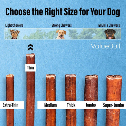ValueBull Bully Sticks for Small Dogs, Thin 6 Inch, 100 Count Bulk Pack - ValuePetSupplies