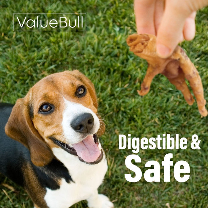 ValueBull Chicken Feet for Dogs, 100 Count Bulk Pack - Chicken Feet - 100 Feet