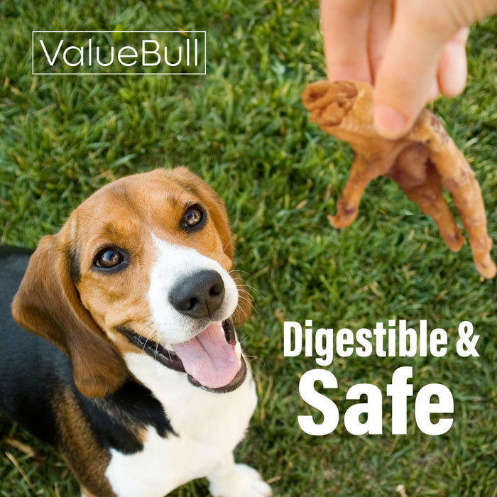 ValueBull Chicken Feet for Dogs, Large, 200 Count Bulk Pack - Large - 200 Feet