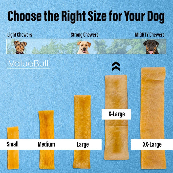 ValueBull Himalayan Yak Cheese Dog Chews, Extra Large, 25 ct Bulk Pack - X-Large - 25 Bars