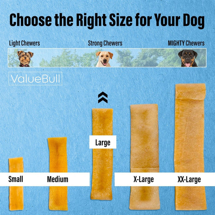 ValueBull Himalayan Yak Cheese Dog Chews, Large, 6 Pound Bulk Pack - Large - 6 LB