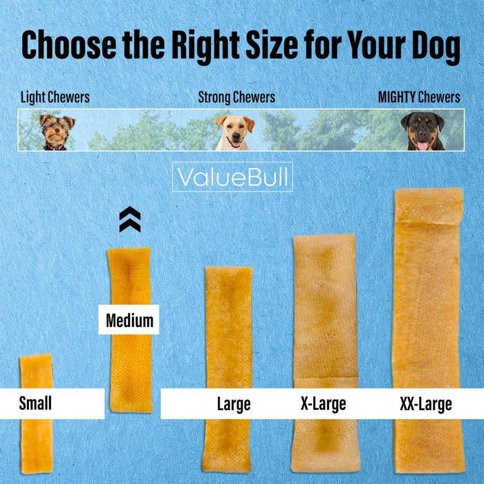 ValueBull Himalayan Yak Cheese Dog Chews, Medium, 2 lb - Medium