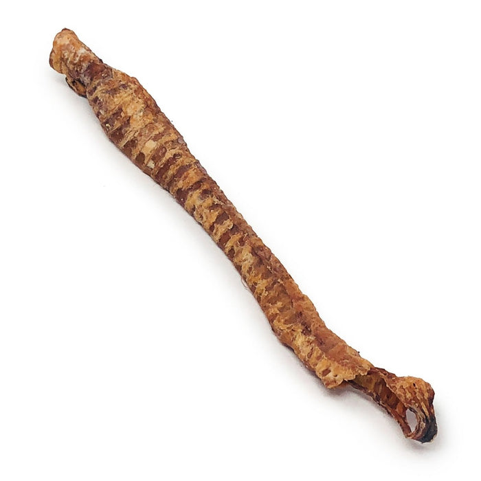 ValueBull Lamb Trachea for Dogs, Premium, 4-9 Inch, 2 Pound Bulk Pack - Trachea  - 2 Pound