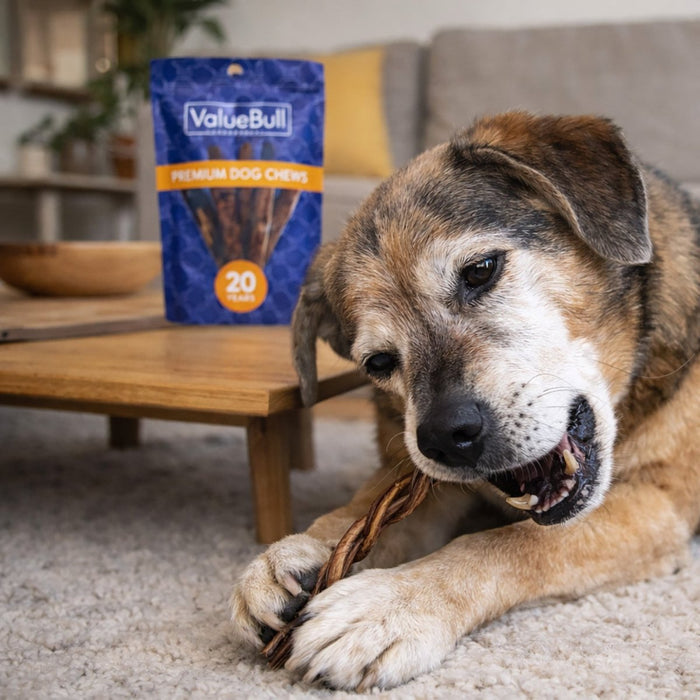 ValueBull Pizzle Twist Dog Chews, Premium Lamb, 20 Count - Lamb - 20 Pizzles