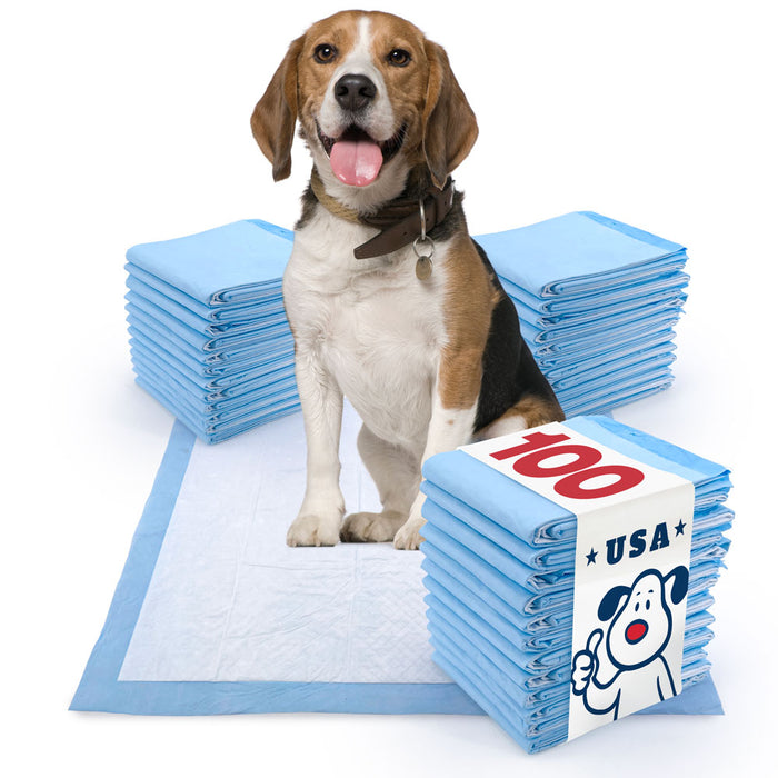 ValuePad USA Puppy Pads, Medium 22x23 Inch, 100 Count - 100 Count