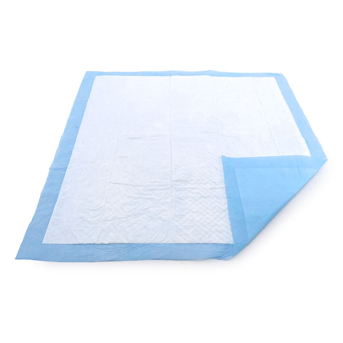 ValuePad USA Puppy Pads, Medium 22x23 Inch, 100 Count - 100 Count