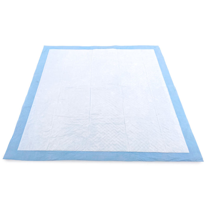 ValuePad USA Puppy Pads, Medium 22x23 Inch, 100 Count - 100 Count